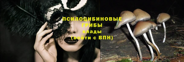 экстази Няндома