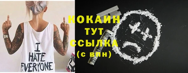 экстази Няндома