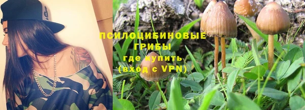герыч Новозыбков