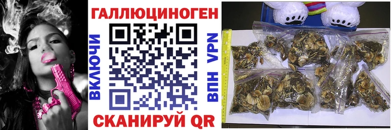 Галлюциногенные грибы Psilocybine cubensis  Усмань 
